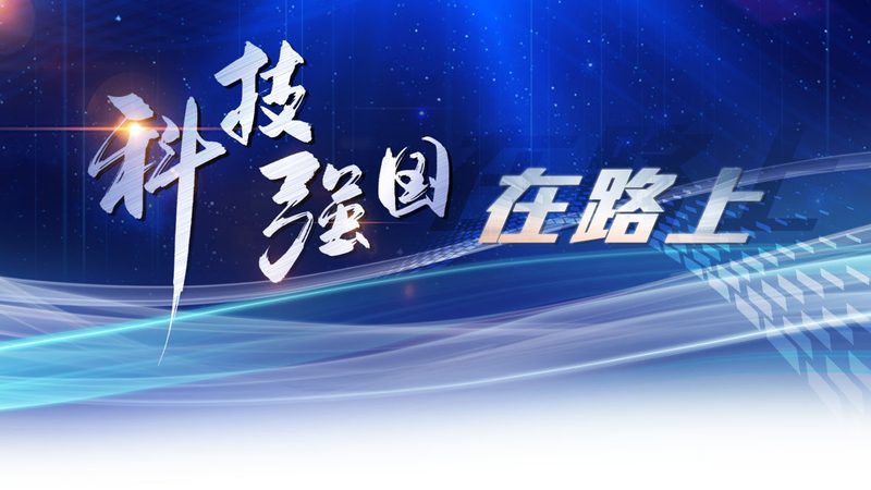企业数字化转型中的动态图表数据可视化之道